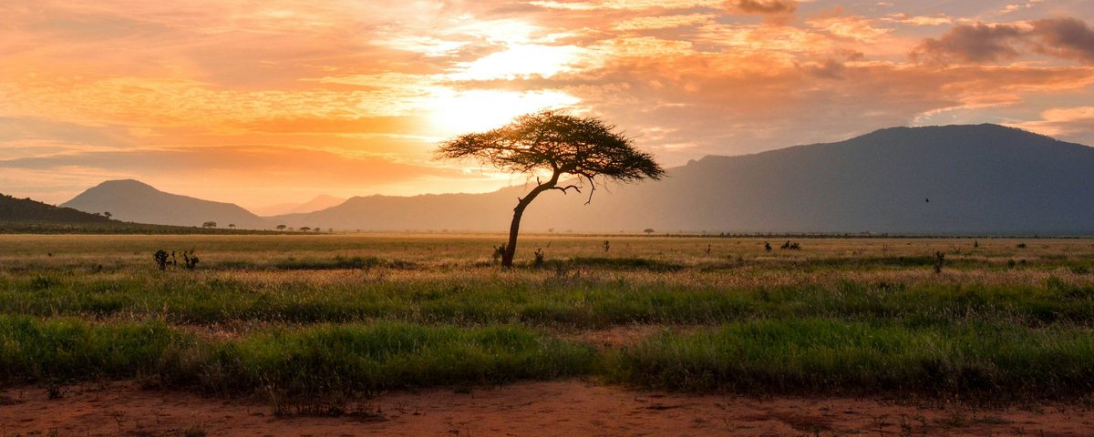Forfaits eSIM Afrique